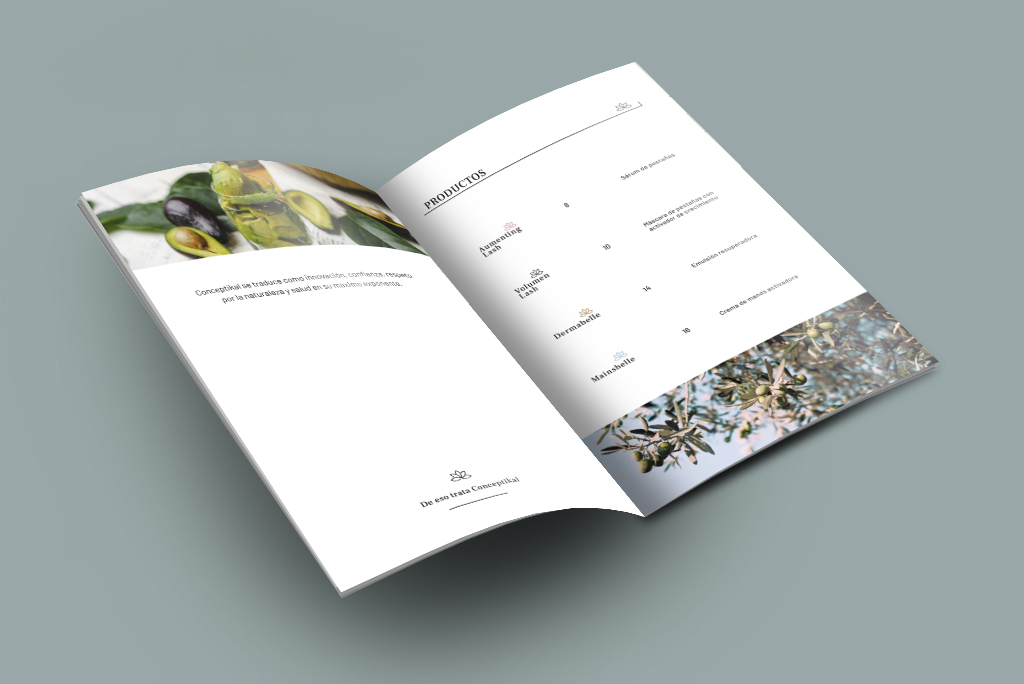 Diseño editorial del interior del catálogo de Conceptikal